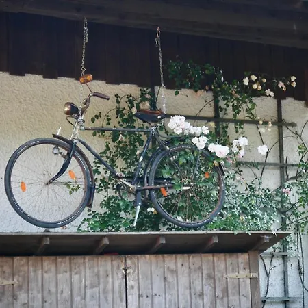 Gartenwohnung Im Gut Sonnenwald Apartmán